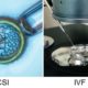 difference between IVF and ICSI