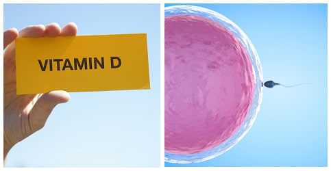 vitamin d and Infertility