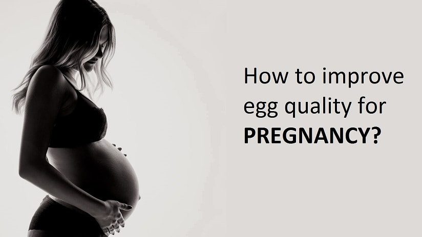 How to improve egg quality for pregnancy-min