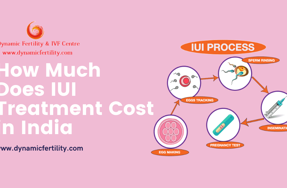 IUI Treatment Cost in India